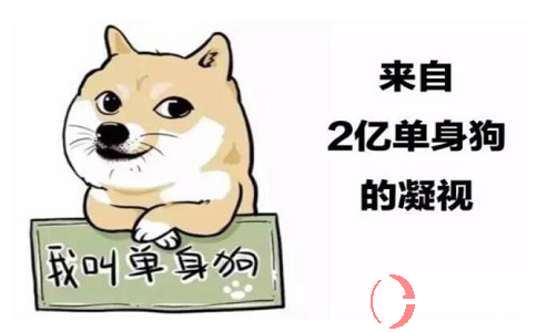 絕對(duì)的新型創(chuàng)業(yè)項(xiàng)目：人人都可做，收入不用說(shuō)! 第3張