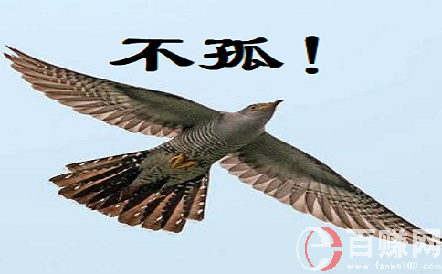 絕對(duì)的新型創(chuàng)業(yè)項(xiàng)目：人人都可做，收入不用說(shuō)! 第2張
