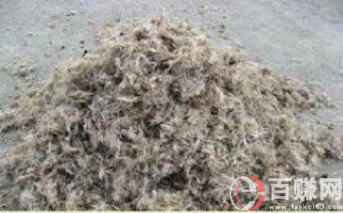 在農村現在做什么生意賺錢?豬毛的商機你了解多少? 第3張