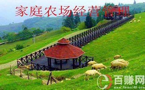 現(xiàn)在經(jīng)營農場賺錢嗎?經(jīng)營農場的出路在哪? 第2張