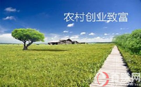 八個適宜在農村創業致富的項目分享!農村加工創業項目! 第2張