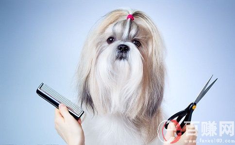 打工不如創業,學會這5種技術，掙錢容易些! 第2張