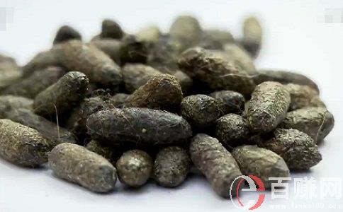 越眾創業網:利用畜禽糞便賺錢,農村創業好項目! 第1張