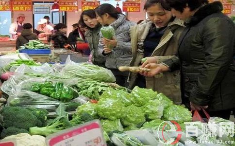 創(chuàng)業(yè)先鋒網(wǎng):靠賣蔬菜年賺百萬,你相信嗎? 第2張